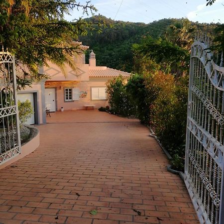 레센데 Casa Loureiro - Vista Rio Douro 빌라 외부 사진