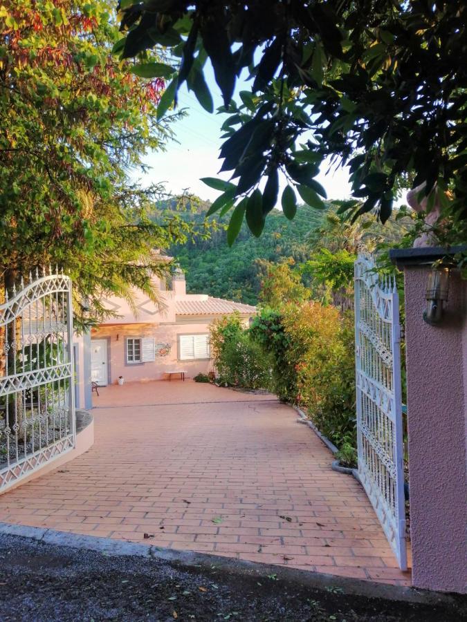 레센데 Casa Loureiro - Vista Rio Douro 빌라 외부 사진