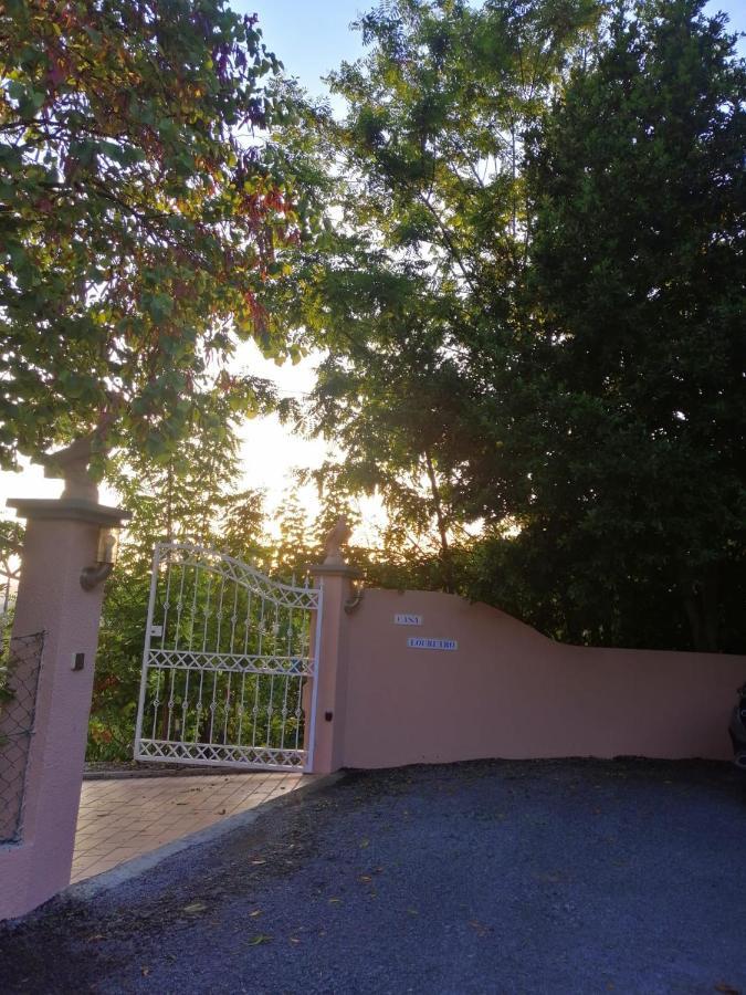 레센데 Casa Loureiro - Vista Rio Douro 빌라 외부 사진