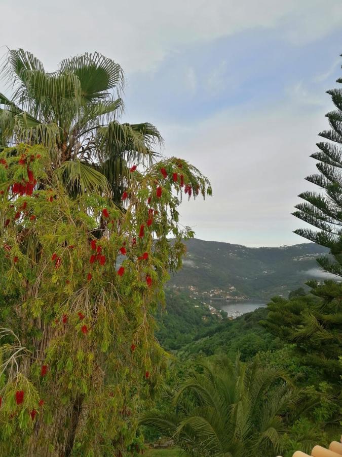 레센데 Casa Loureiro - Vista Rio Douro 빌라 외부 사진
