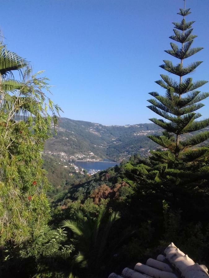 레센데 Casa Loureiro - Vista Rio Douro 빌라 외부 사진